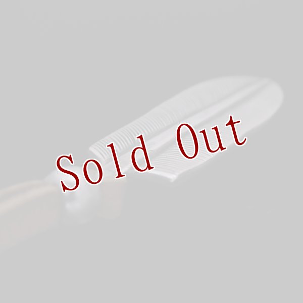 画像4: クリーク族 Jesse Robbins コインシルバー フェザー ペンダント (4)