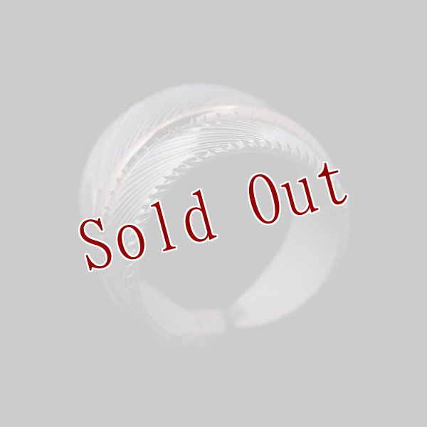 画像2: ナバホ族 Harvey Mace 12KGF イーグルフェザー ストレート リング (2)