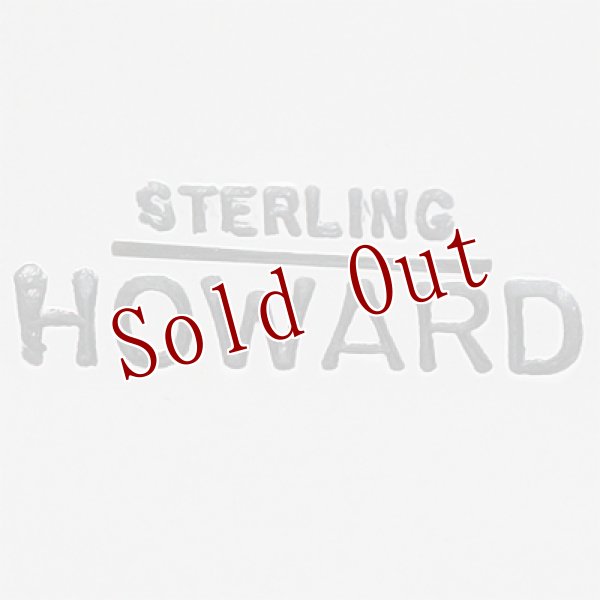 画像8: ナバホ族 Howard Nelson ロイストーン ターコイズ 長方形 リング 24号 (8)