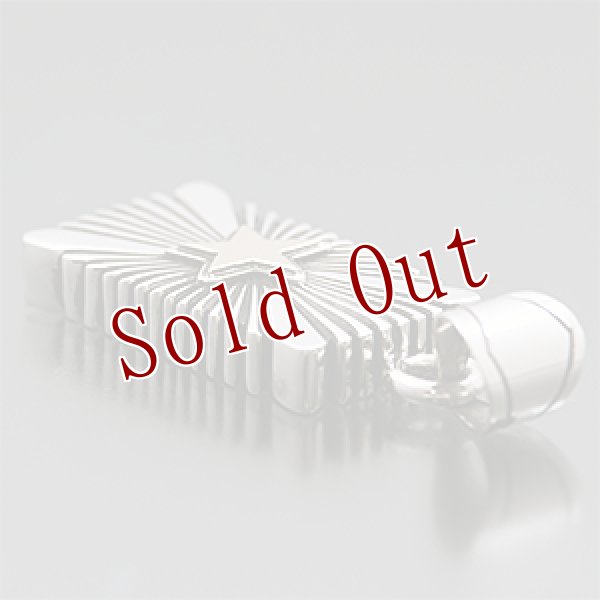 画像2: ナバホ族 Pat Bedonie #1FL 14K スターバースト ペンダント (2)